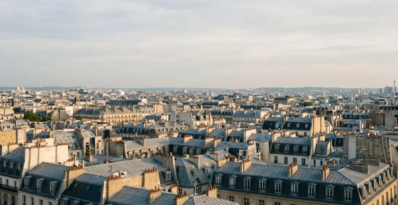 Vue aérienne des toits haussmanniens parisiens illustrant la densité urbaine et le marché immobilier de la capitale